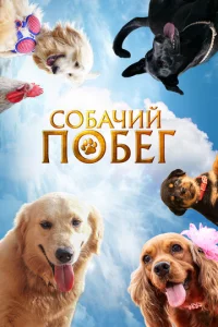 C0бaчuй n0бer