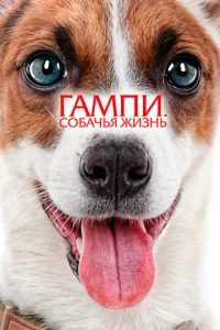 Гaʍnu. C0бaчbᴙ жuʒнb